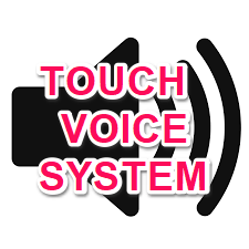 Touch-Voice-System